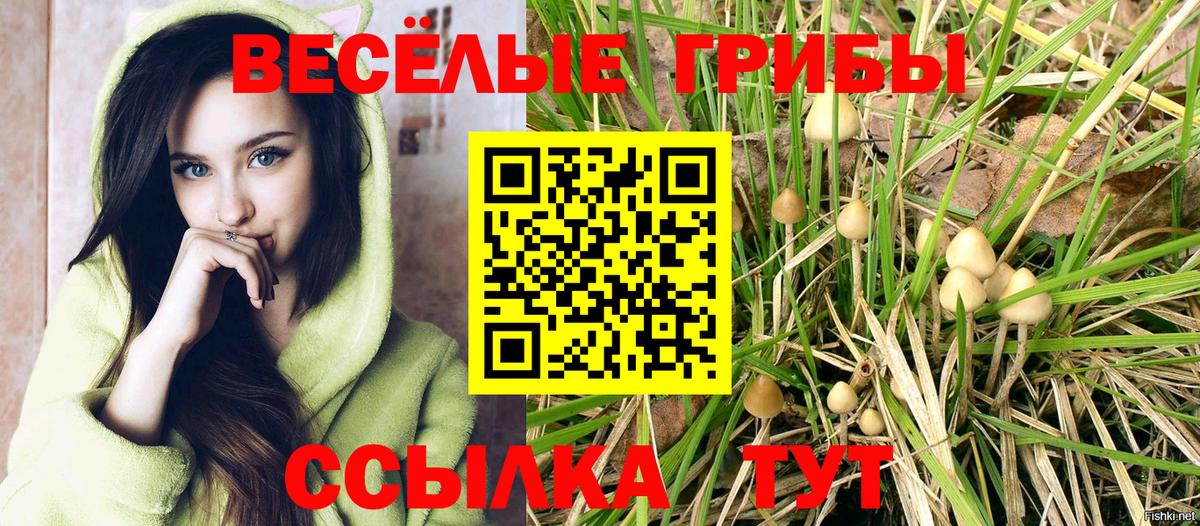 Галлюциногенные грибы мицелий Тобольск